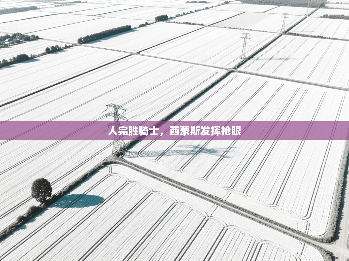 人完胜骑士，西蒙斯发挥抢眼  第2张